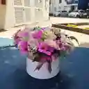 Cilindro Mixto De Flores Programar 2 Horas Antes