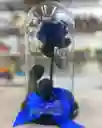 Rosa Preservada En Cúpula