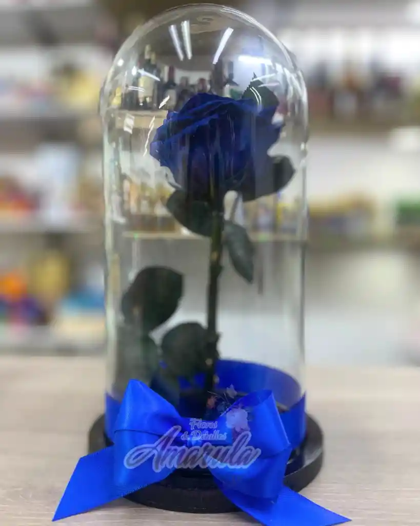 Rosa Preservada En Cúpula
