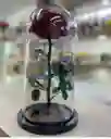 Rosa Preservada En Cúpula