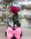 Rosa Preservada En Cúpula