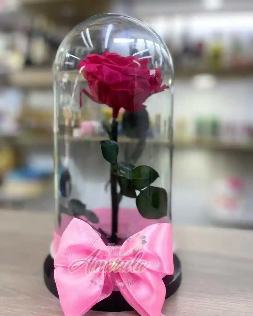 Rosa Preservada En Cúpula