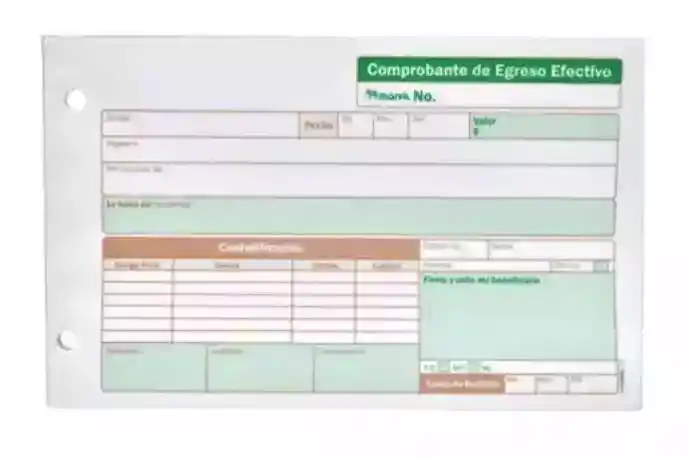 Comprobante De Egreso (talonario)