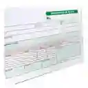 Comprobante De Egreso (talonario)