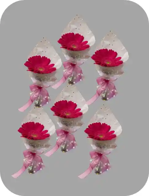 Combo X 6 Gerberas