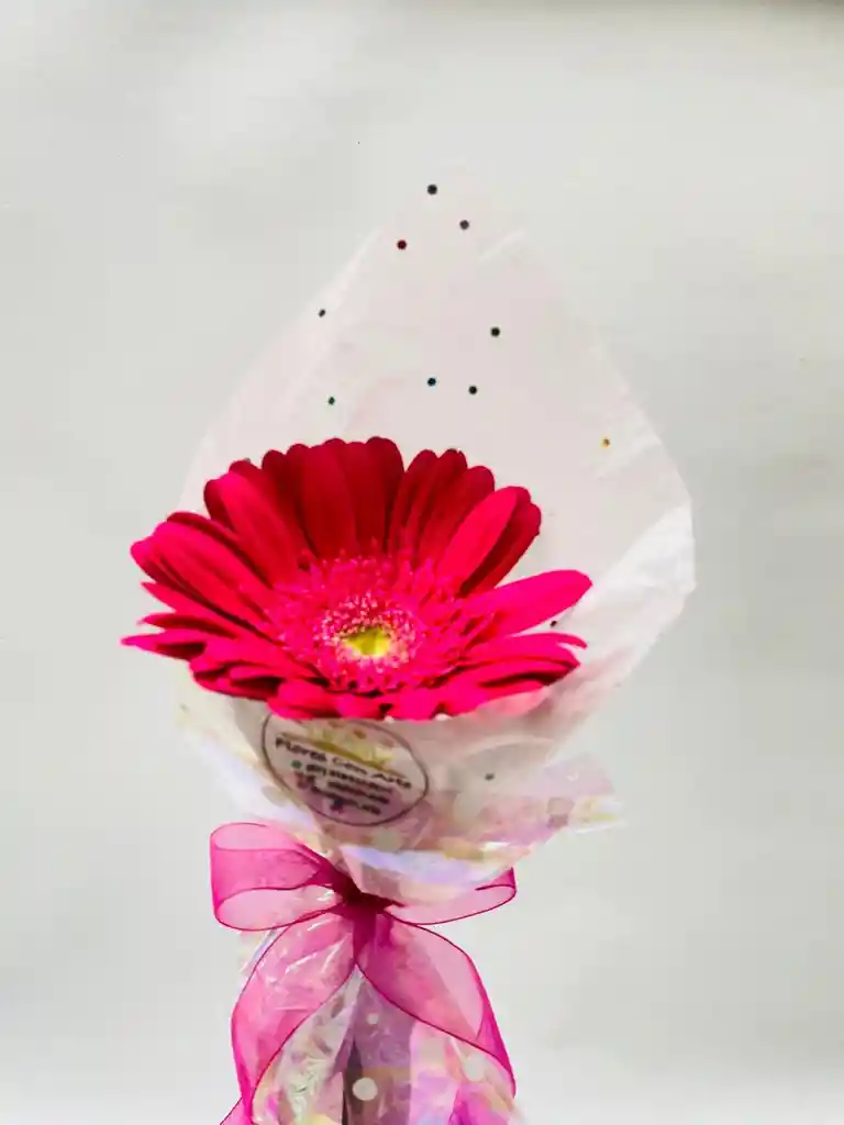 Combo X 6 Gerberas