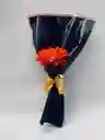 Combo X 6 Gerberas