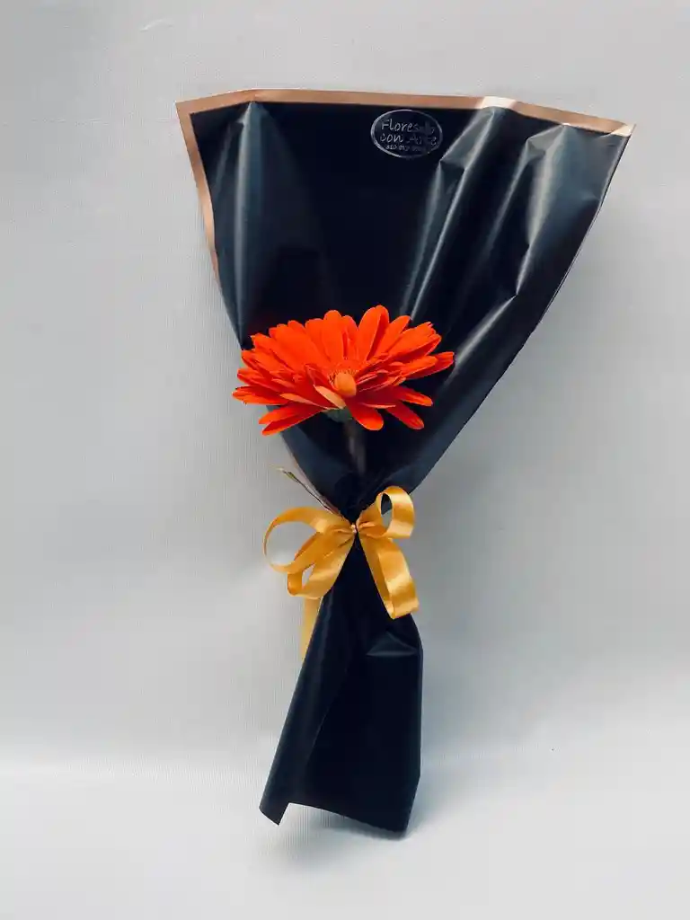 Combo X 6 Gerberas