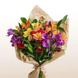 Flores Astromelia Surtida