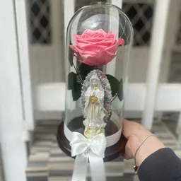 Rosa Preservada Y Virgen
