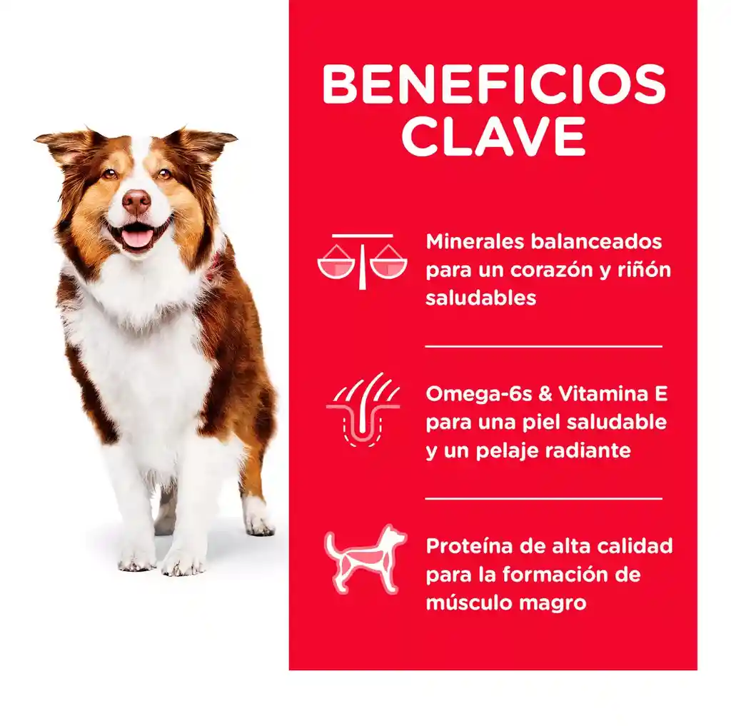 Hills Adulto Mature 7+ 12kg