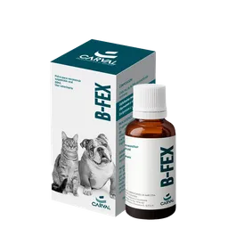 B-fex Suspension 60 Ml