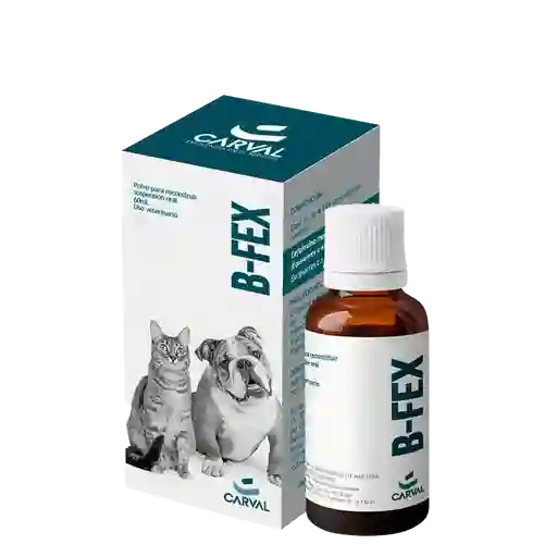 B-fex Suspension 60 Ml