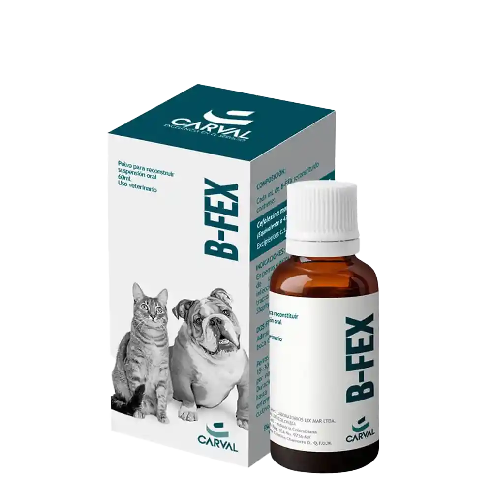 B-fex Suspension 60 Ml