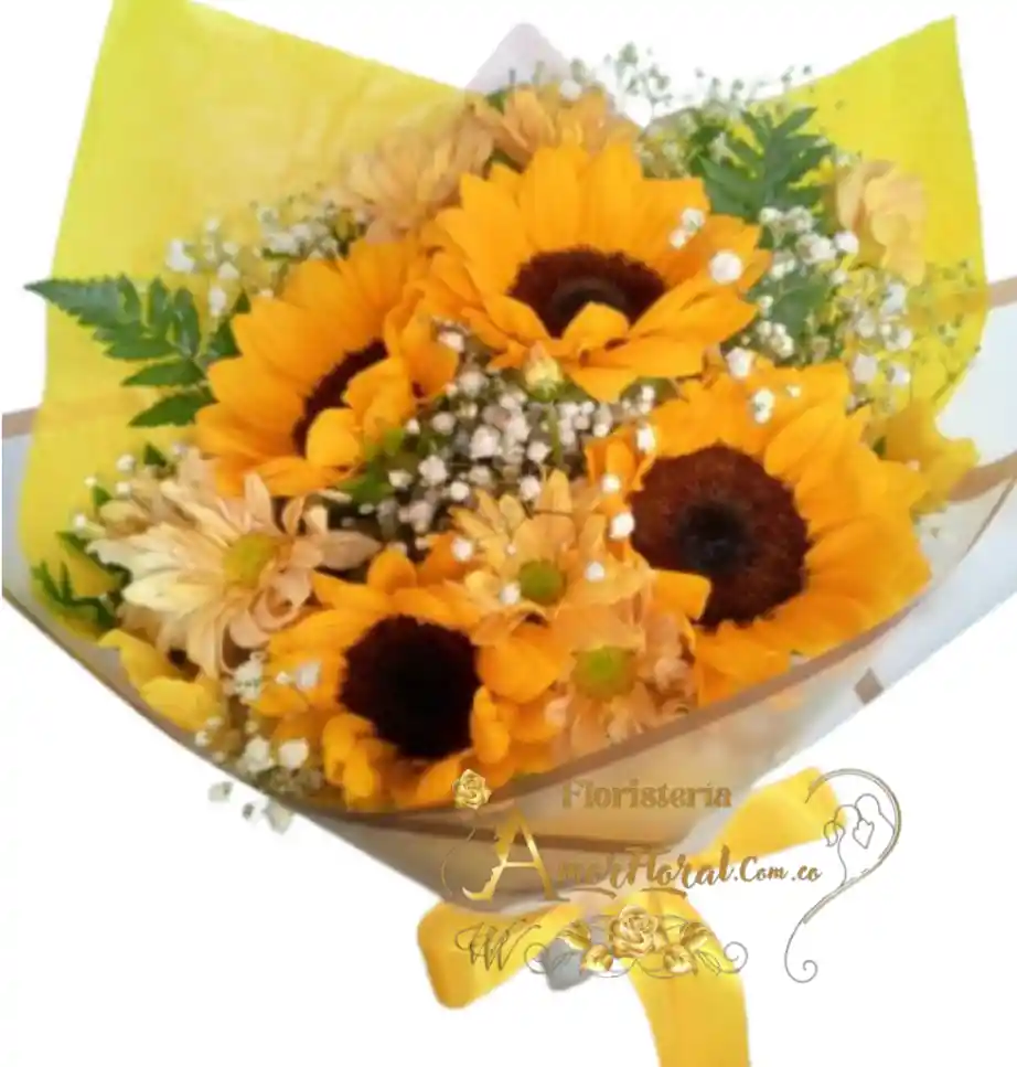 Girasoles Y Margaritas