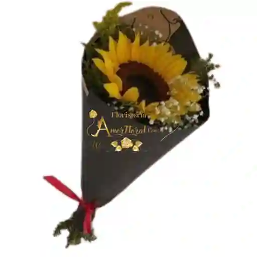 Unidad De Girasol