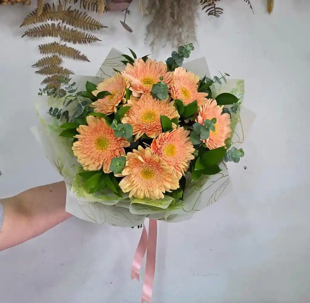 Resplandor De Gerberas