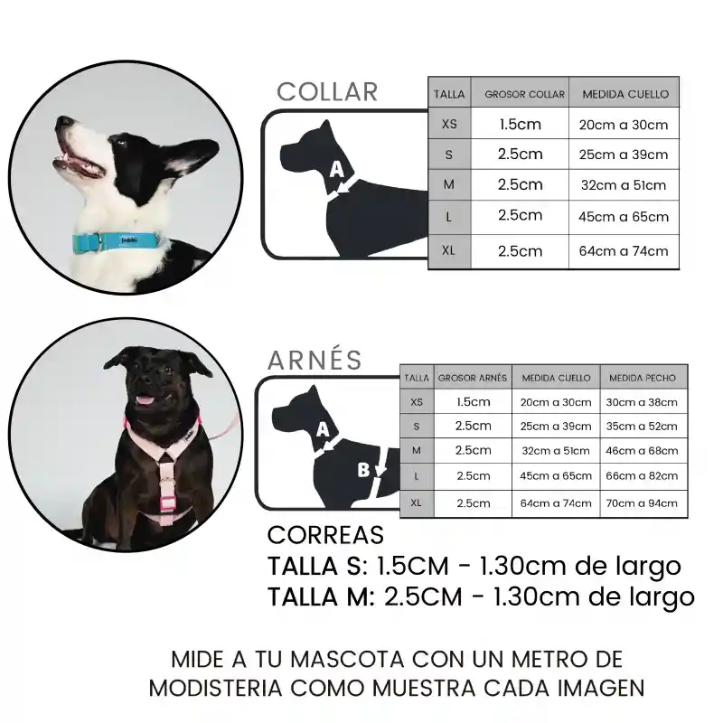 Collar Goma Fucsia Talla Xs