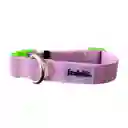 Collar Goma Mora Talla S