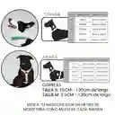 Collar Goma Naranja Talla M