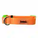 Collar Goma Naranja Talla M