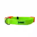 Collar Goma Verde Talla L