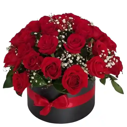 Caja De 24 Rosas Rojas Con Gypso, Un Regalo De Lujo