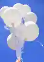 Globos Blancos Con Helio