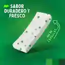 Chicle Trident Yerbabuena X60