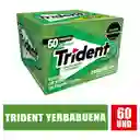 Chicle Trident Yerbabuena X60
