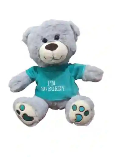 Juguete Peluche Oso Con Frase I'm So Sorry