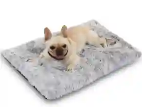 Cama Perro Pequeña (cafe)