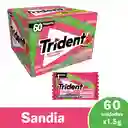 Chicle Trident Sandia X60