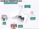 Organizadora De Zapatos Caja X6 Unidades
