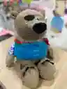 Peluche Oso Pirata