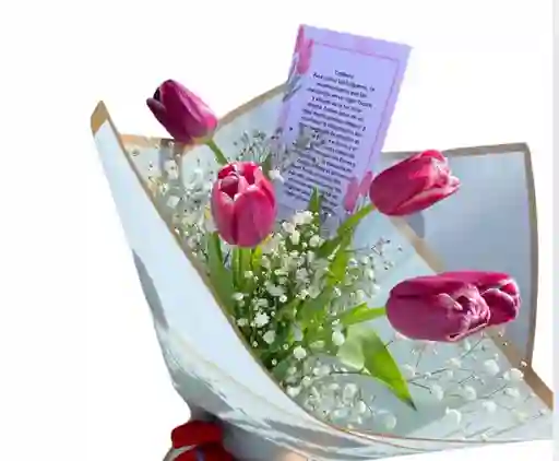 Flores: Tulipanes X 5und
