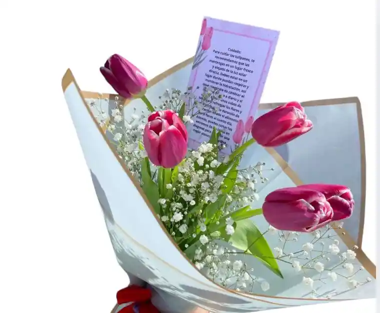 Flores: Tulipanes X 5und