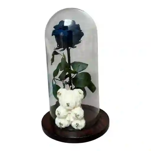 Flor Preservada Azul Con Vela De Oso