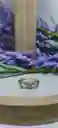 Anillo Infinito