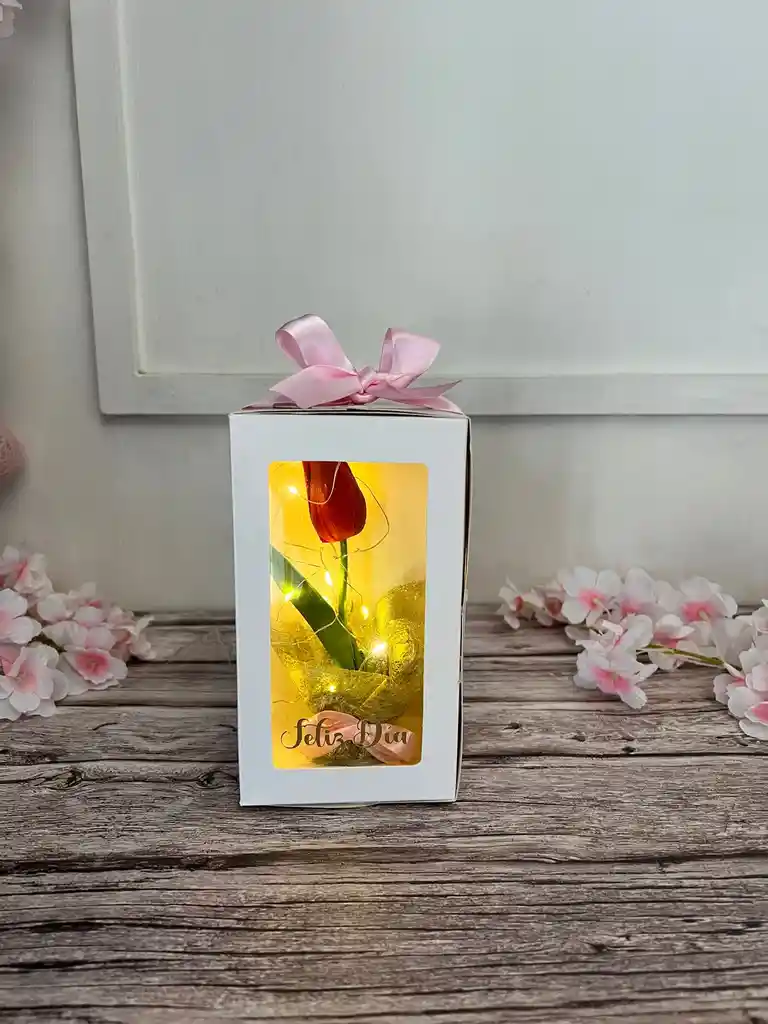 Caja De Luz Con Tulipan Eterno