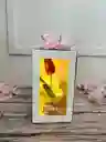 Caja De Luz Con Tulipan Eterno