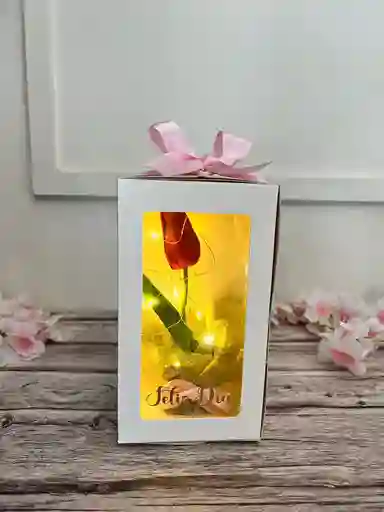 Caja De Luz Con Tulipan Eterno