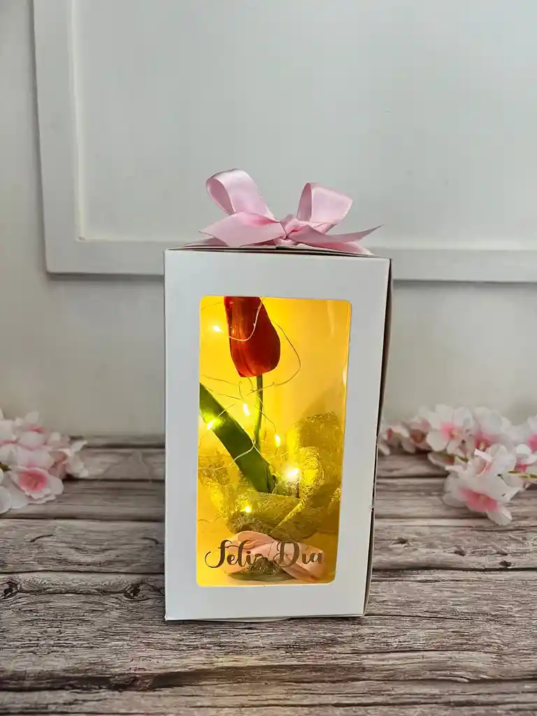 Caja De Luz Con Tulipan Eterno