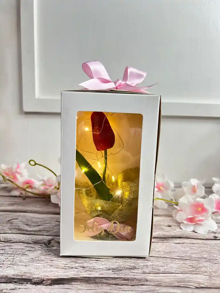 Caja De Luz Con Tulipan Eterno