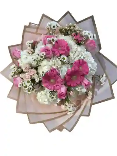 Hortensias Y Gerberas Rosaleda