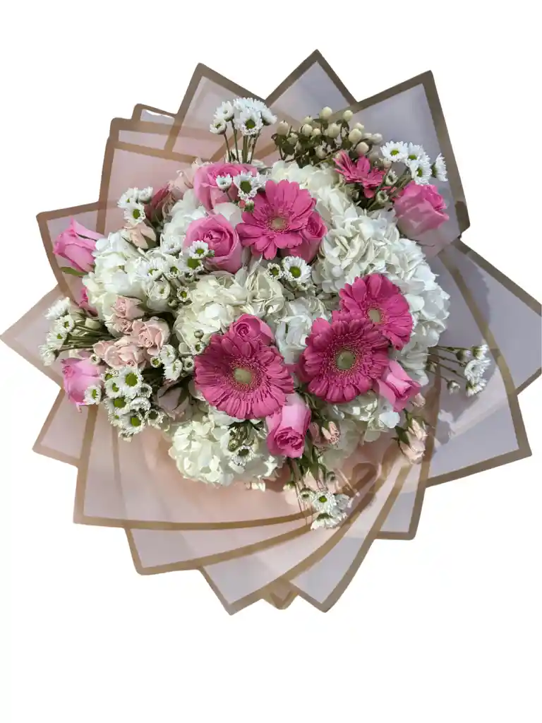 Hortensias Y Gerberas Rosaleda