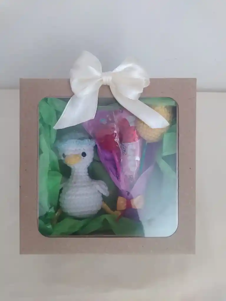 Caja De Regalo Con Patito Tejido