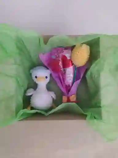 Caja De Regalo Con Patito Tejido