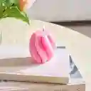 Velas Aromáticas Espiral Rosa