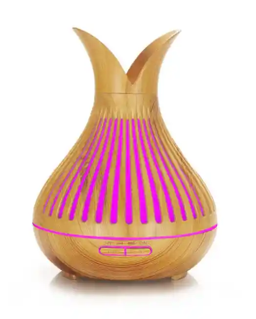 Humidificador Difusor Aromas Dos Petalos Florero 350ml